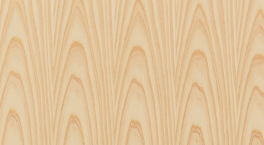 吉野杉［白太］板目