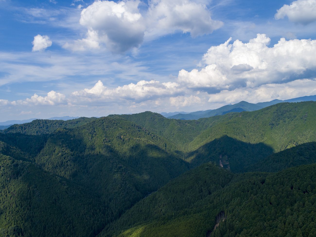 奈良県川上村と吉野林業