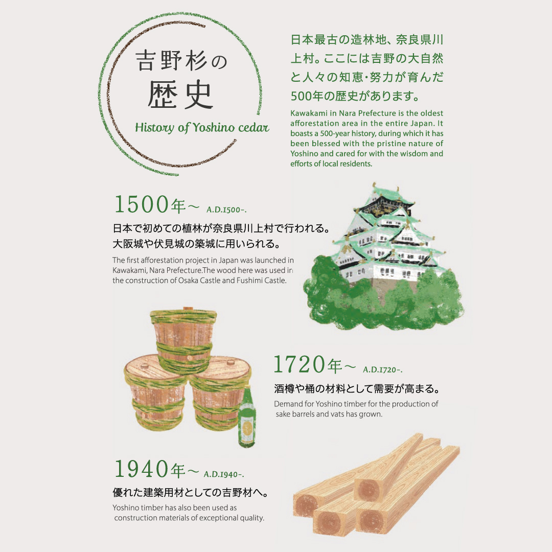 吉野杉の歴史