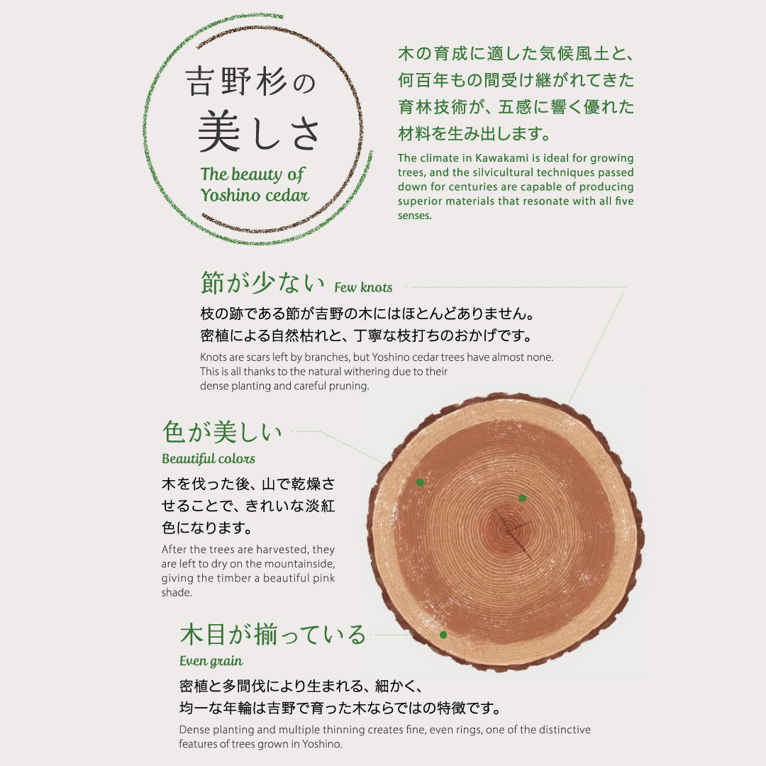 吉野杉の美しさ